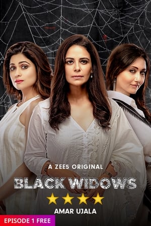 Black Widows 2020 S01  Web Series