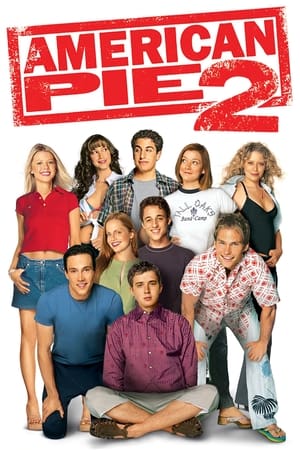 American Pie 2 2001 Dual Audio