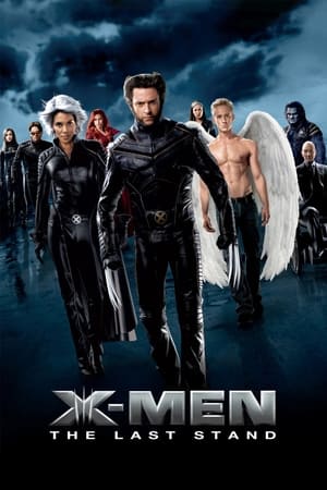 X-Men 3: The Last Stand 2006 Dual Audio