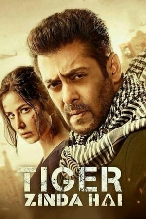 Tiger Zinda Hai 2017