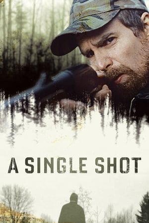 A Single Shot 2013 Dual Audio