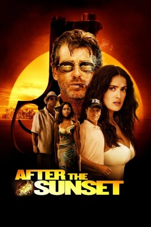 After the Sunset 2004 Dual Audio